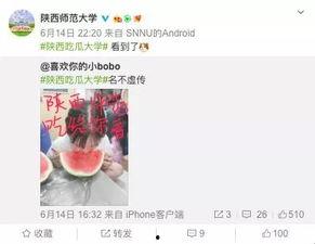 吃瓜高校网站,吃瓜网站带你领略校园生活百态