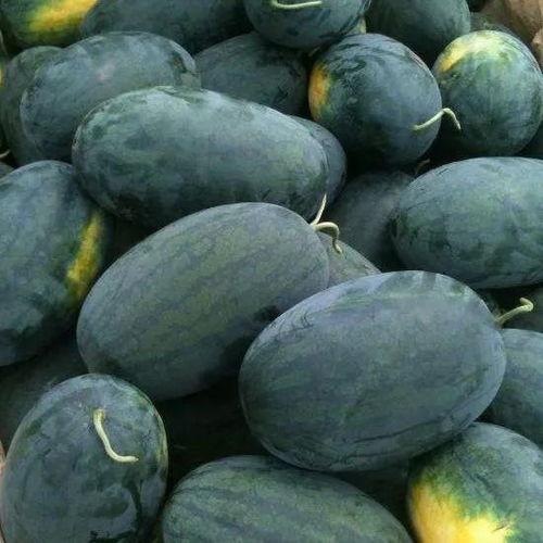 红色的瓜吃籽,探寻传统美食的传承与创新